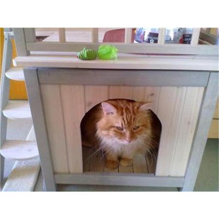 KITTI Katzenhaus - Katzenhaus für Katzen und Kleintiere